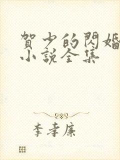 贺少的闪婚暖妻小说全集