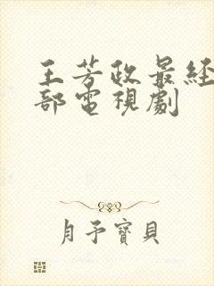 王芳政最经典十部电视剧