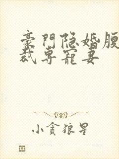 豪门隐婚腹黑总裁专宠妻