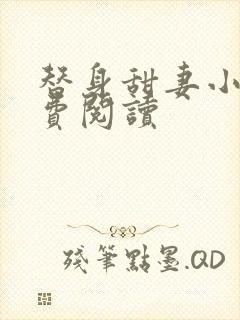 替身甜妻小说免费阅读封面