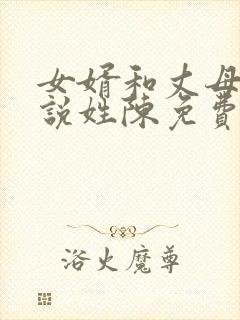 女婿和丈母娘小说姓陈免费阅读