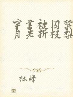 穿书被囚禁的白月光折枝梨甜