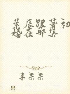 叶辰跟萧初然离婚在哪集