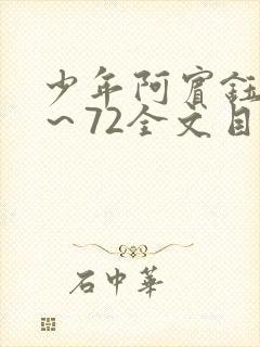 少年阿宾钰慧1～72全文目录免费阅读