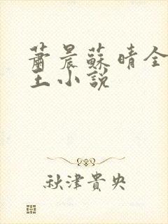 萧晨苏晴全能兵王小说