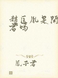 赵匡胤是开国之君吗