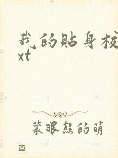 我的贴身校花txt封面