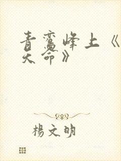 青鸾峰上《无敌天命》封面