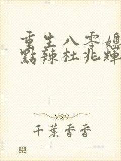 重生八零媳妇有点辣杜兆辉