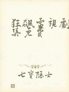 狂飙电视剧40集免费