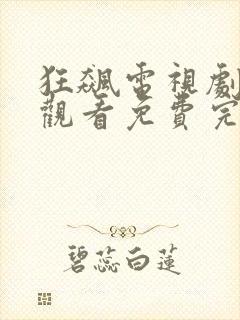 狂飙电视剧在线观看免费完整版星辰封面