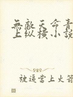 无敌天命青鸾峰上纵横小说网