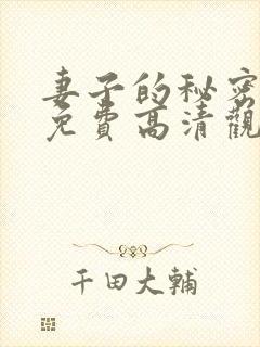 妻子的秘密短剧免费高清观看全集封面