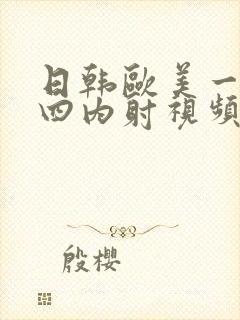 日韩欧美一二三四内射视频