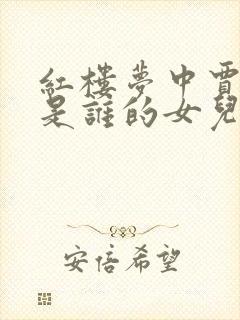 红楼梦中贾惜春是谁的女儿封面