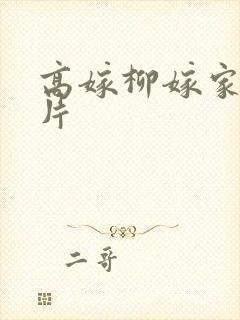 高嫁柳嫁家动画片封面