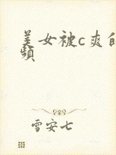 美女被c爽的视频