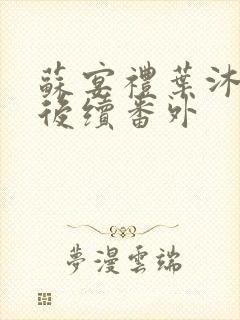 苏宴礼叶沐结局后续番外封面