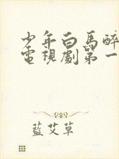 少年白马醉春风电视剧第一集