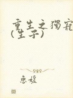 重生之独宠男妻(生子)