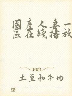 国产人妻一区二区在线播放