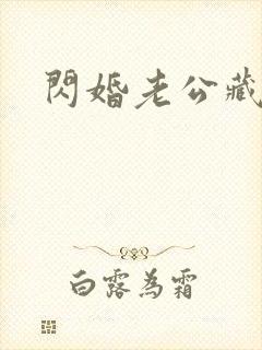 闪婚老公藏不住封面