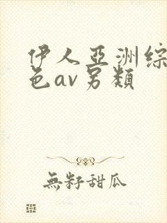 伊人亚洲综合网色av另类