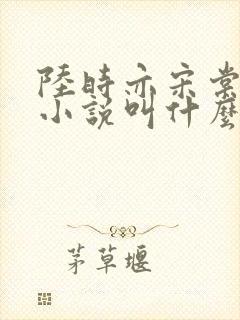 陆时亦宋棠原著小说叫什么封面