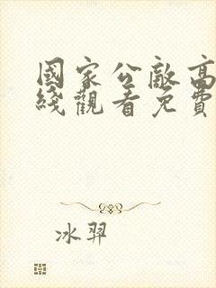 国家公敌高清在线观看免费完整版