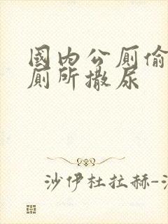 国内公厕偷拍女厕所撒尿