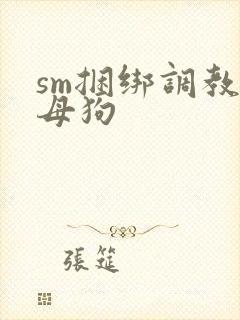 sm捆绑调教小母狗封面