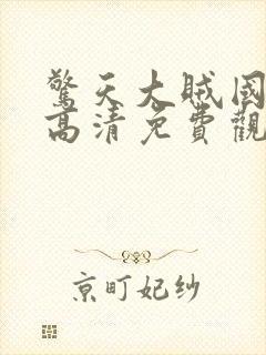 惊天大贼国语版高清免费观看封面