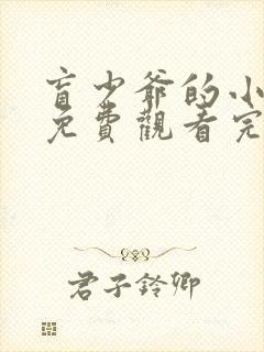 盲少爷的小女仆免费观看完整版