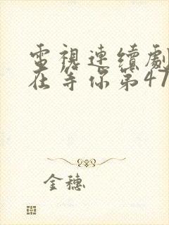 电视连续剧妈妈在等你第47集