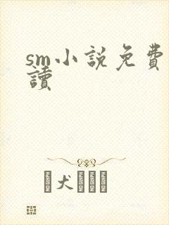 sm小说免费阅读