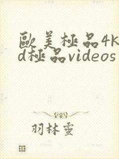 欧美极品4khd极品videos
