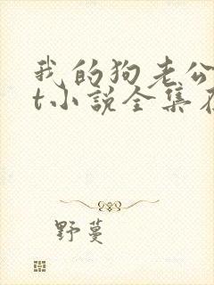 我的狗老公txt小说全集在线阅读