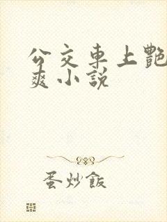 公交车上艳遇好爽小说封面