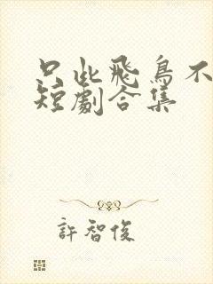 只此飞鸟不相逢短剧合集