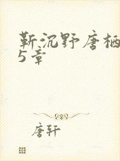 靳沉野唐栖雾25章