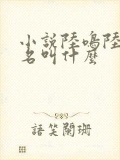 小说陆鸣陆瑶书名叫什么