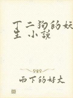 丁二狗的妖孽人生 小说