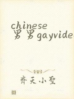 chinese男男gayvideo