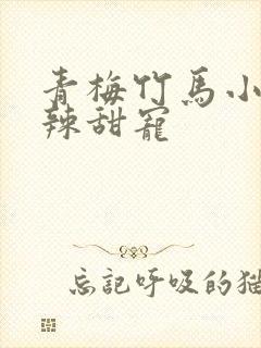 青梅竹马小说高辣甜宠