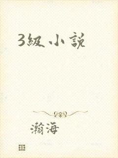 3级小说