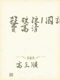 杀破狼1国语免费高清