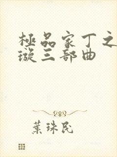 极品家丁之肖青璇三部曲封面