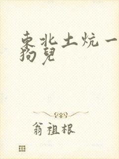 东北土炕一家人狗儿