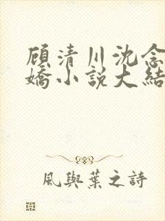 顾清川沈念李娇娇小说大结局