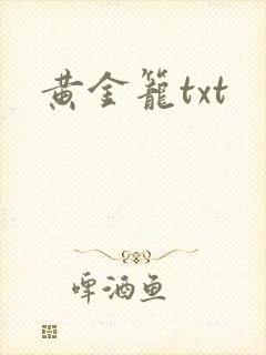 黄金笼txt